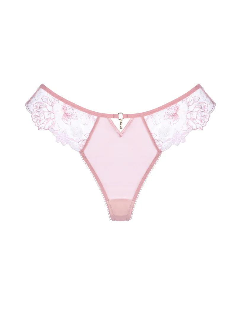 Olivia Briefs | Olivia三角褲